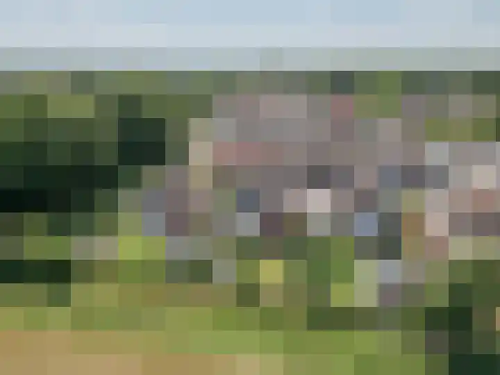 Dissel 4 America thumbnail 41