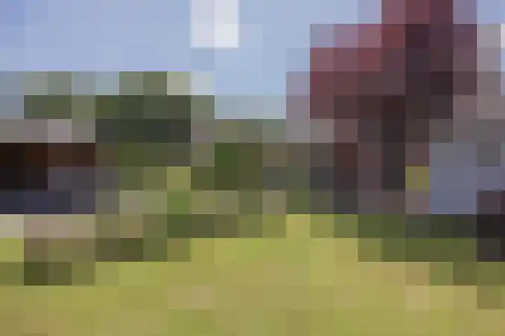 Dissel 4 America thumbnail 43