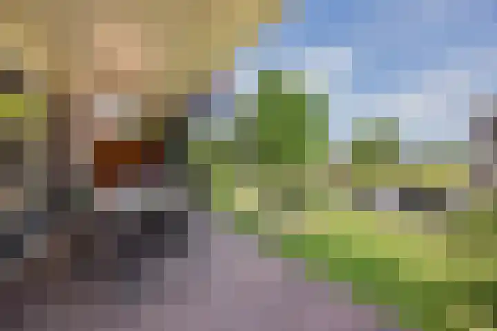 Dissel 4 America thumbnail 47