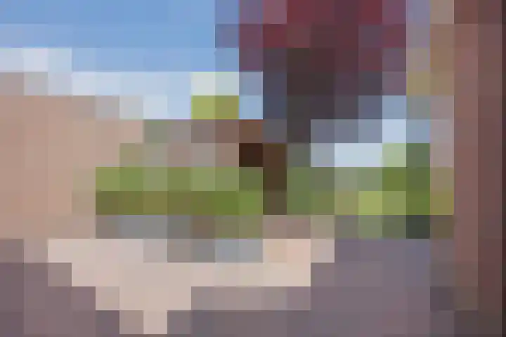 Dissel 4 America thumbnail 49