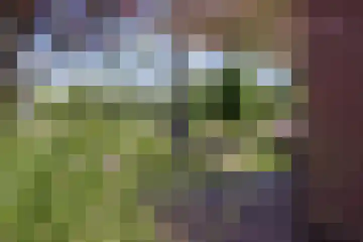 Dissel 4 America thumbnail 50