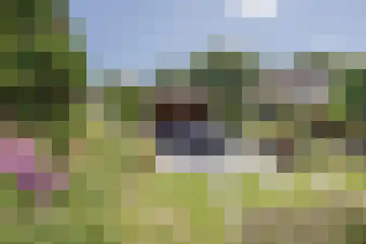 Dissel 4 America thumbnail 53