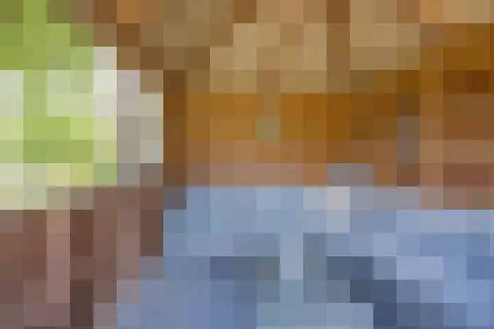 Dissel 4 America thumbnail 54