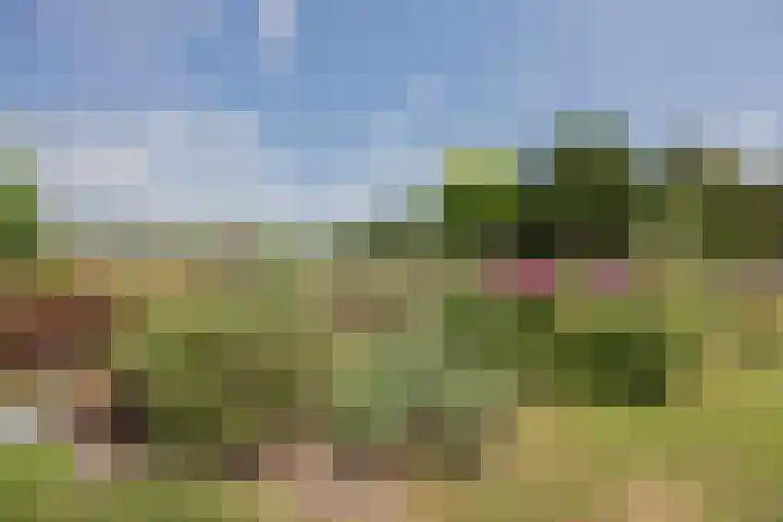 Dissel 4 America thumbnail 55