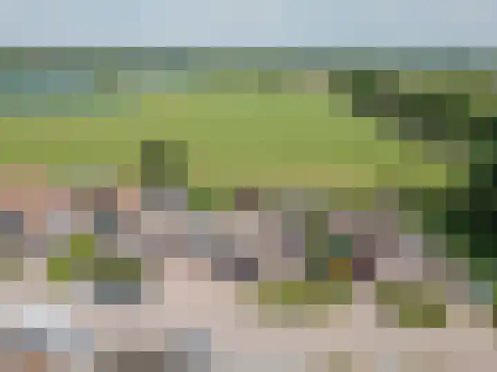 Dissel 4 America thumbnail 57