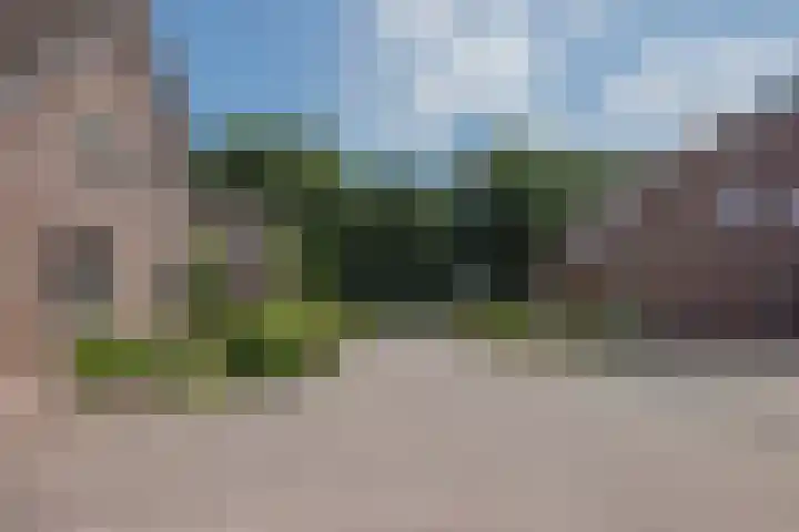Dissel 4 America thumbnail 61