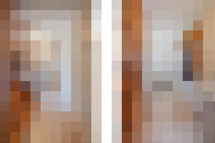 Dissel 4 America thumbnail 8