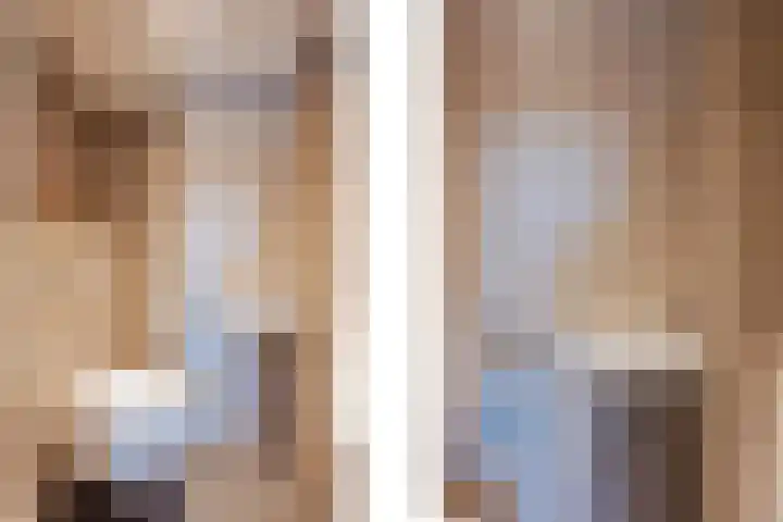 Dissel 4 America thumbnail 9