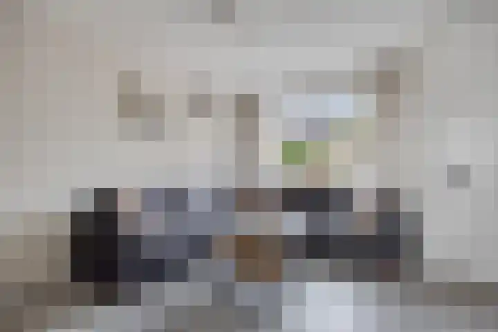 Dissel 40 Maarheeze thumbnail 10