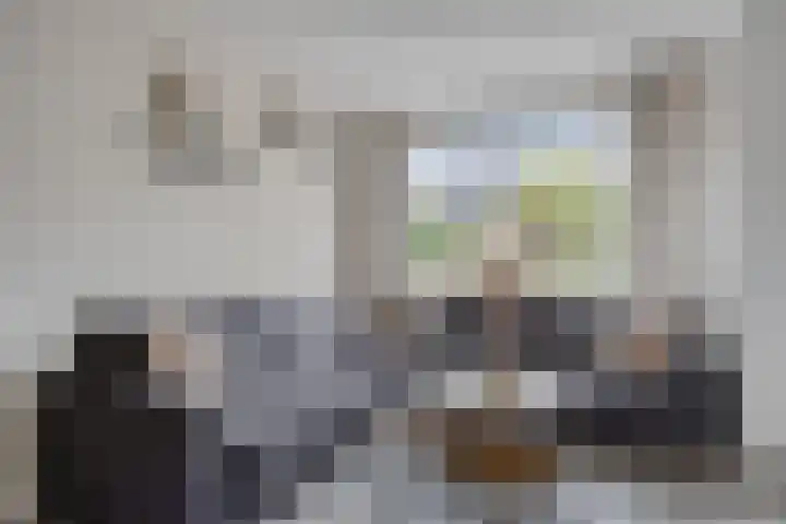 Dissel 40 Maarheeze thumbnail 11