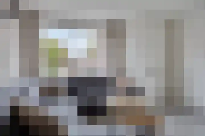 Dissel 40 Maarheeze thumbnail 12