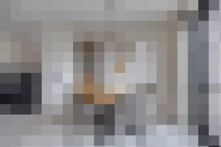 Dissel 40 Maarheeze thumbnail 14