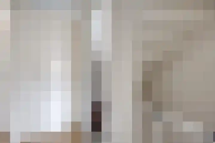 Dissel 40 Maarheeze thumbnail 17