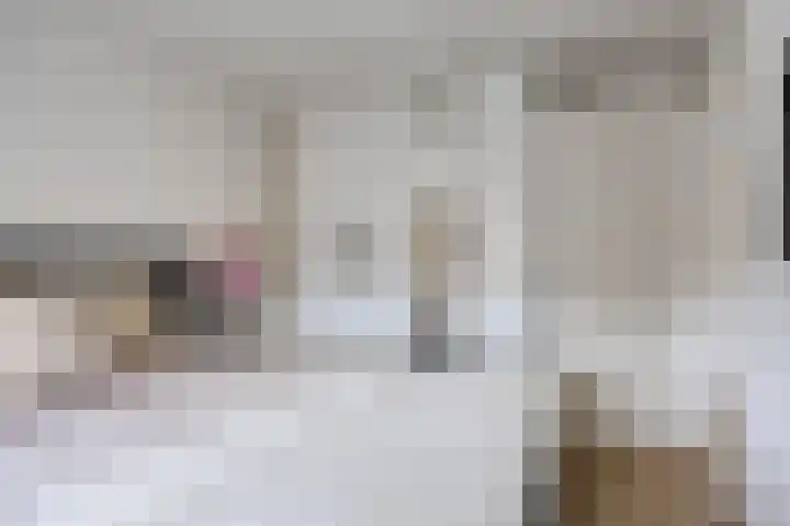 Dissel 40 Maarheeze thumbnail 19
