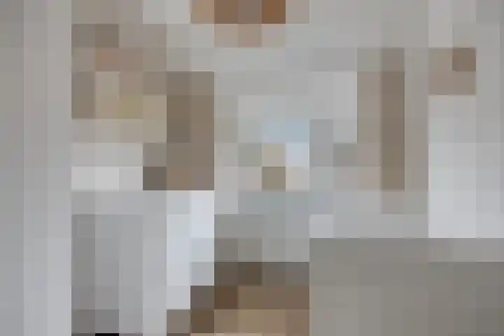 Dissel 40 Maarheeze thumbnail 20