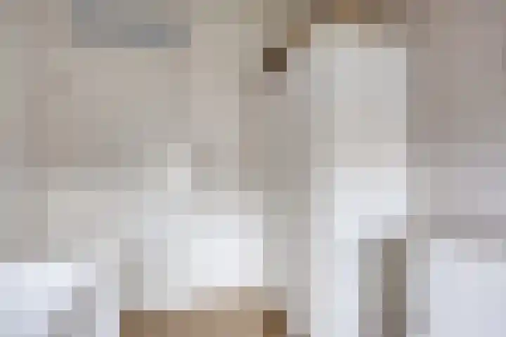 Dissel 40 Maarheeze thumbnail 21