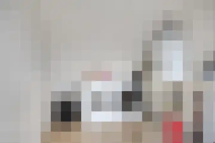 Dissel 40 Maarheeze thumbnail 27