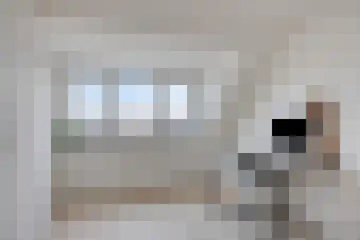 Dissel 40 Maarheeze thumbnail 28