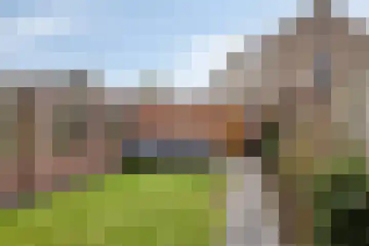 Dissel 40 Maarheeze thumbnail 31