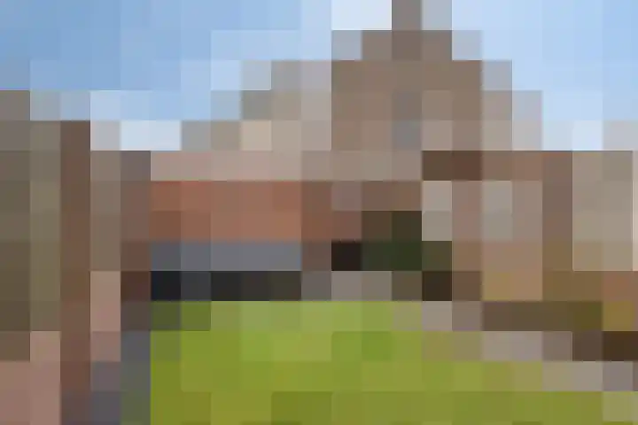 Dissel 40 Maarheeze thumbnail 32