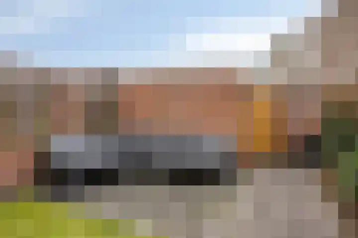 Dissel 40 Maarheeze thumbnail 33