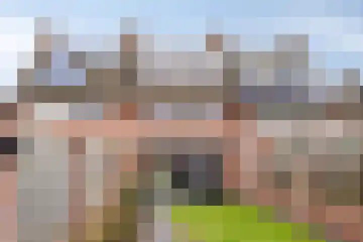 Dissel 40 Maarheeze thumbnail 34