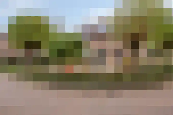 Dissel 40 Maarheeze thumbnail 36
