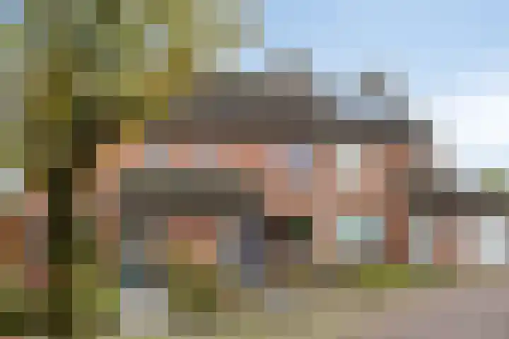 Dissel 40 Maarheeze thumbnail 7