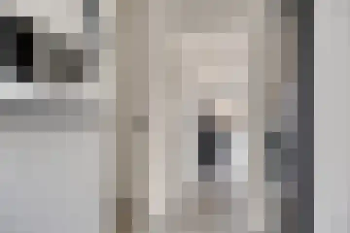 Dissel 40 Maarheeze thumbnail 8