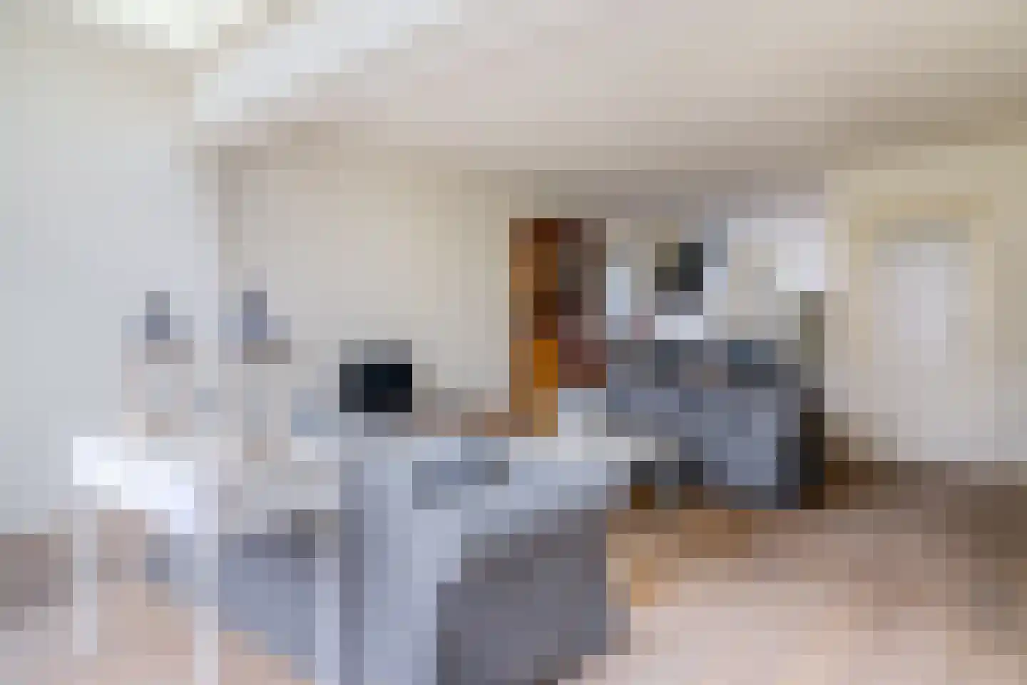 Dissel 46 Monnickendam thumbnail 11