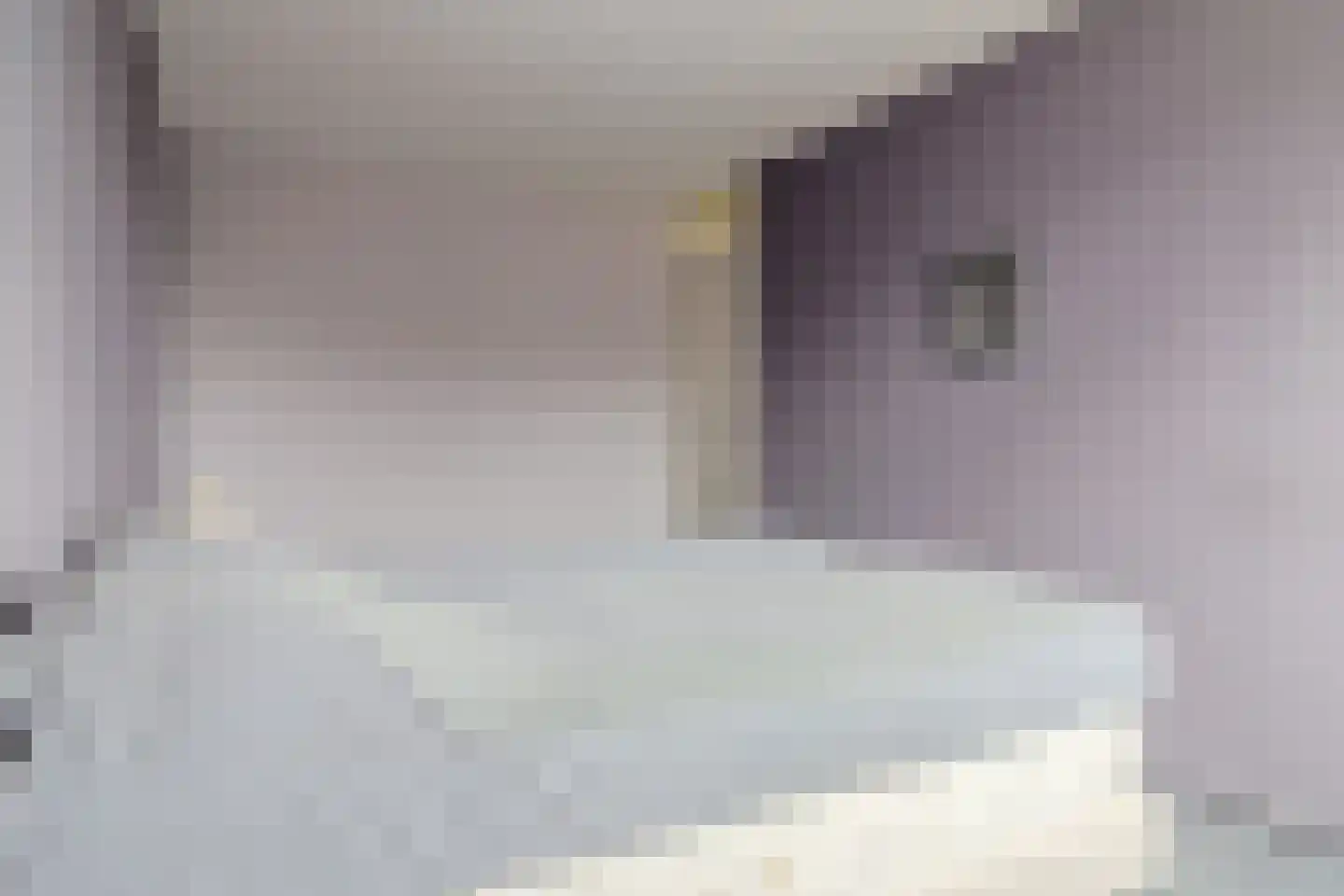 Dissel 46 Monnickendam thumbnail 18