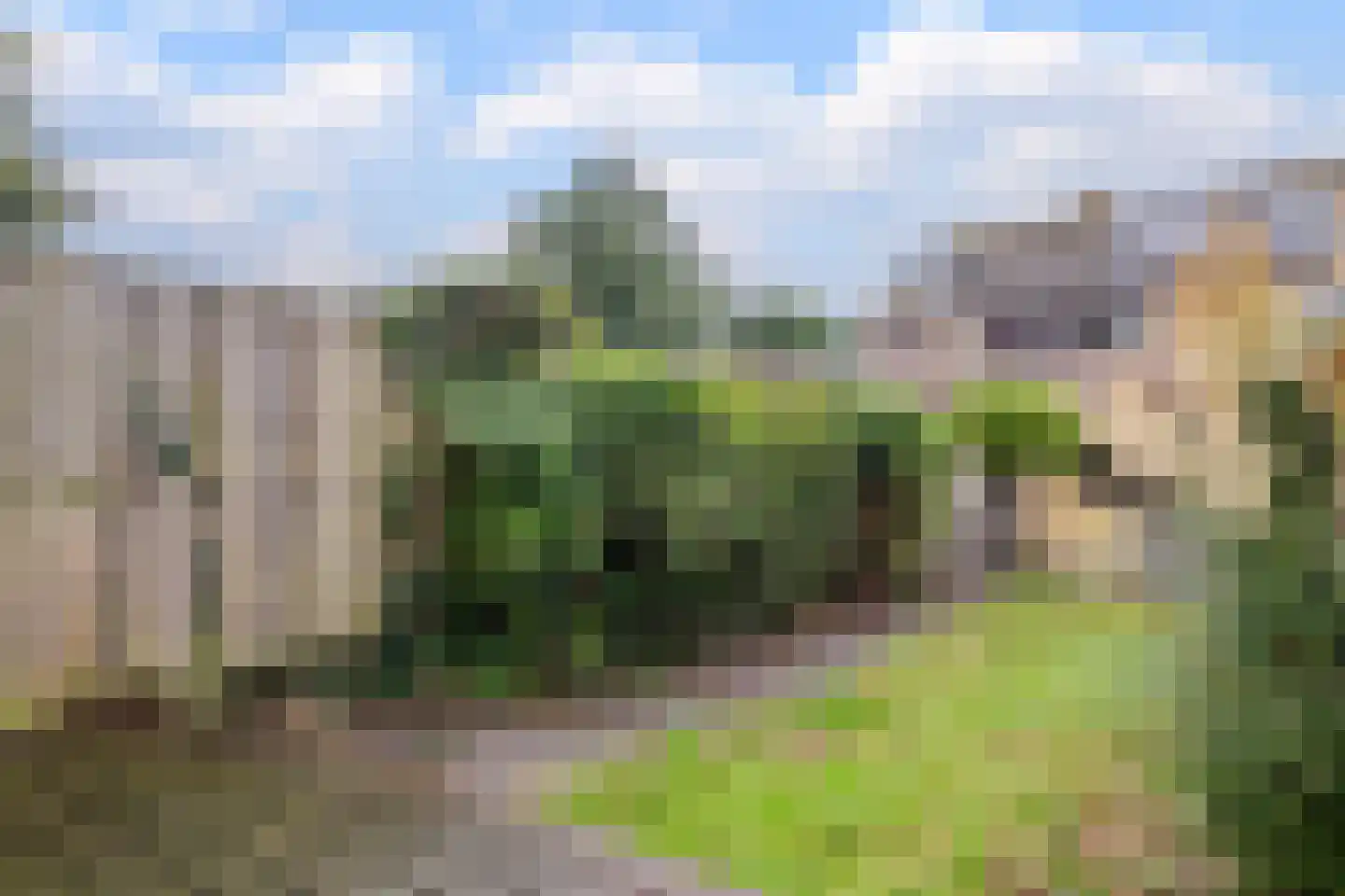 Dissel 46 Monnickendam thumbnail 33