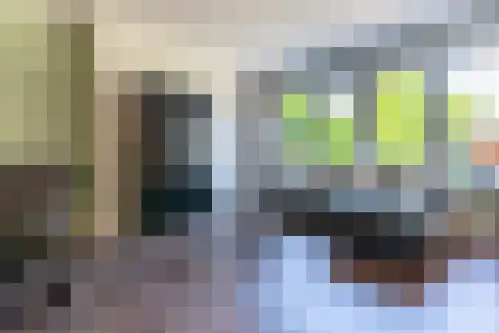 Dissel 46 Veenendaal thumbnail 11