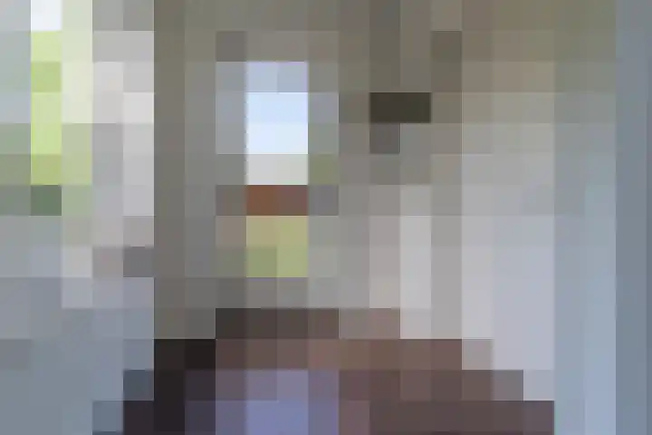 Dissel 46 Veenendaal thumbnail 15