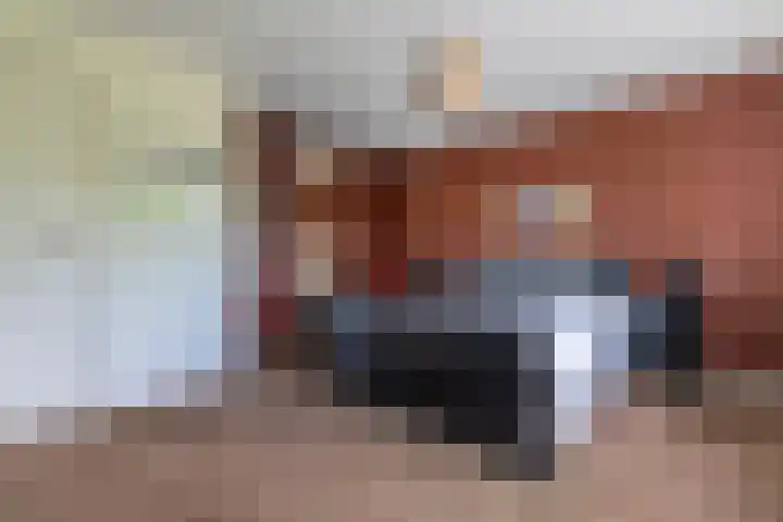 Dissel 46 Veenendaal thumbnail 20