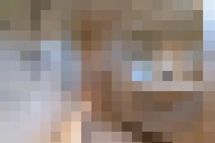 Dissel 46 Veenendaal thumbnail 28