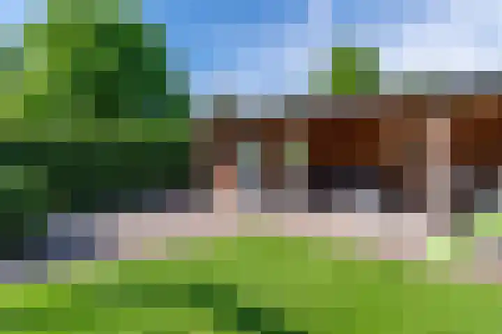 Dissel 46 Veenendaal thumbnail 42