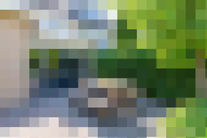 Dissel 46 Veenendaal thumbnail 46