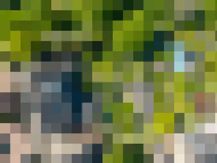 Dissel 46 Veenendaal thumbnail 53