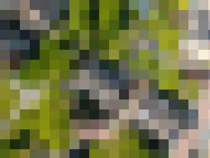 Dissel 46 Veenendaal thumbnail 54