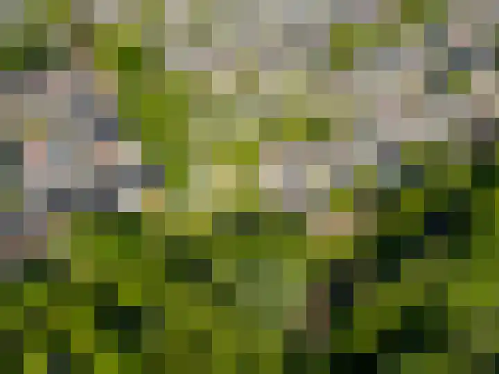 Dissel 46 Veenendaal thumbnail 55