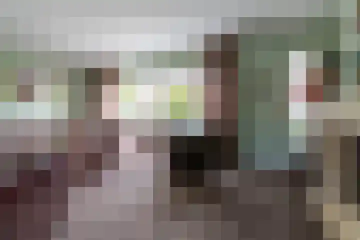Dissel 46 Veenendaal thumbnail 7