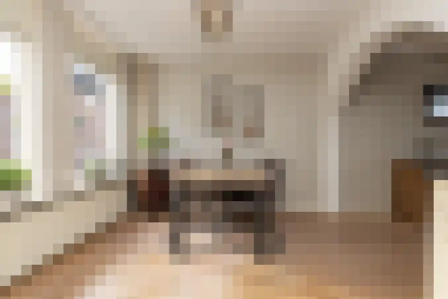 Dissel 5 Zuidwolde thumbnail 14
