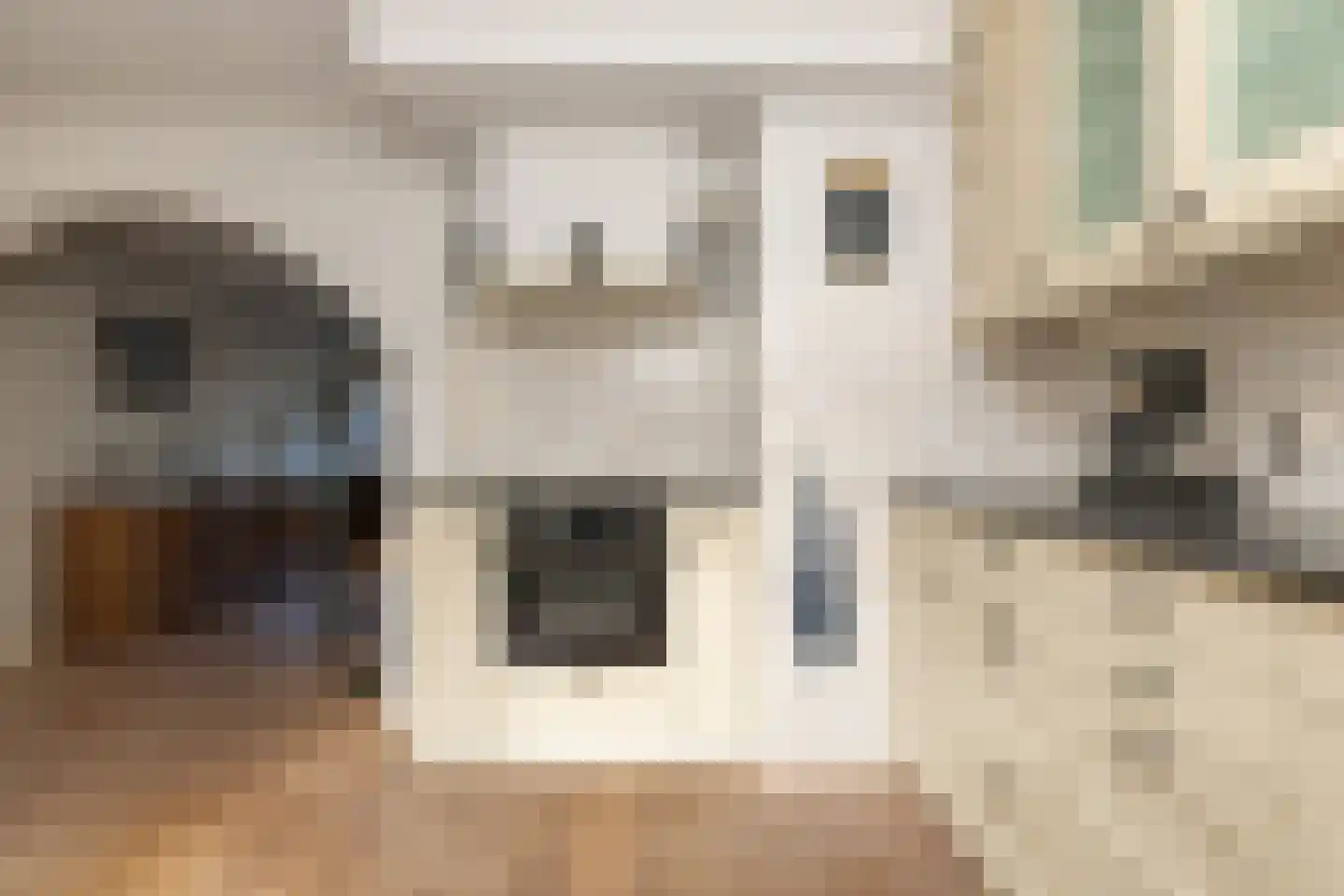 Dissel 5 Zuidwolde thumbnail 16