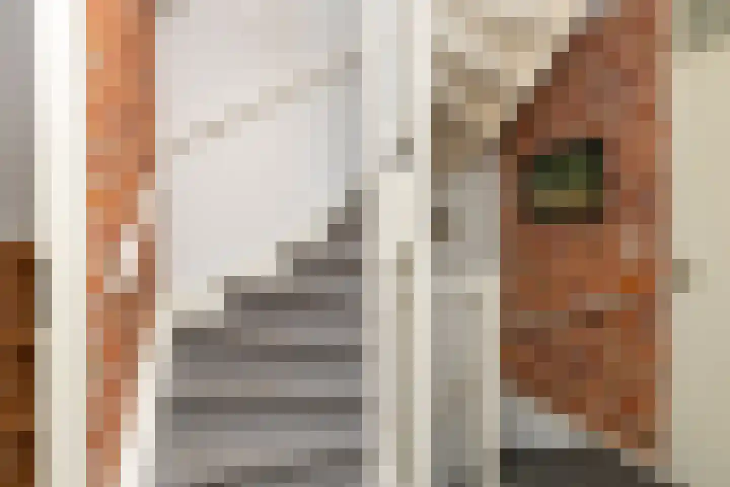 Dissel 5 Zuidwolde thumbnail 36