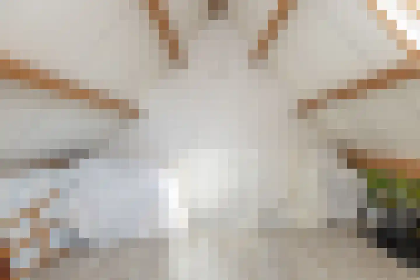 Dissel 5 Zuidwolde thumbnail 38