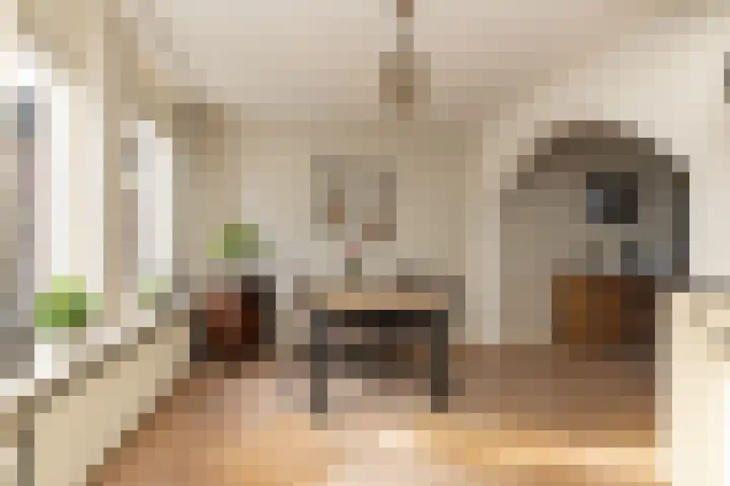 Dissel 5 Zuidwolde thumbnail 4