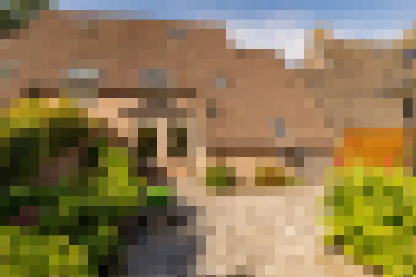 Dissel 5 Zuidwolde thumbnail 41