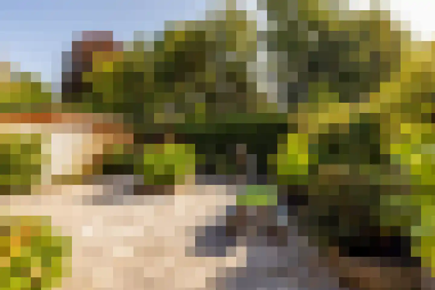 Dissel 5 Zuidwolde thumbnail 42