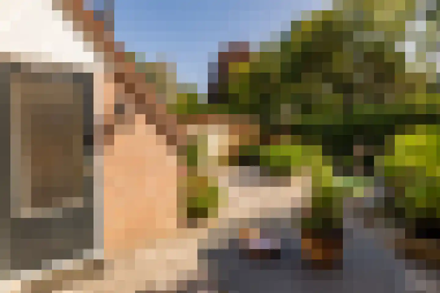 Dissel 5 Zuidwolde thumbnail 43